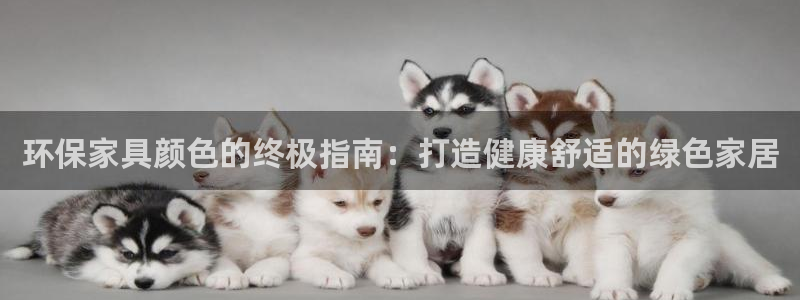 杏耀软件