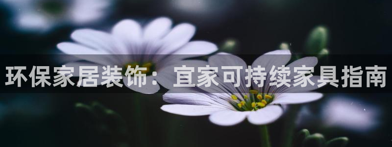 杏耀平台官网