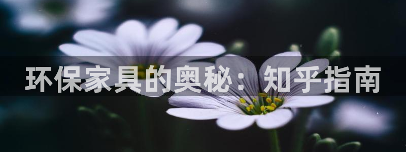 杏耀平台没有了