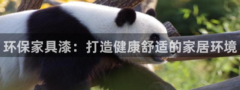 杏耀客户端登陆