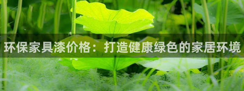 杏耀平台招商的流程
