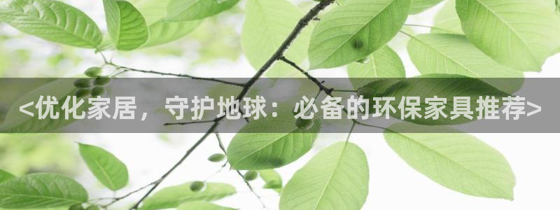杏耀3代理