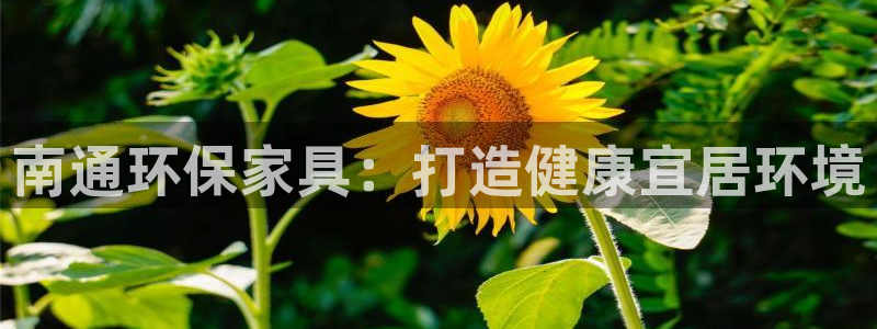 杏耀平台地址