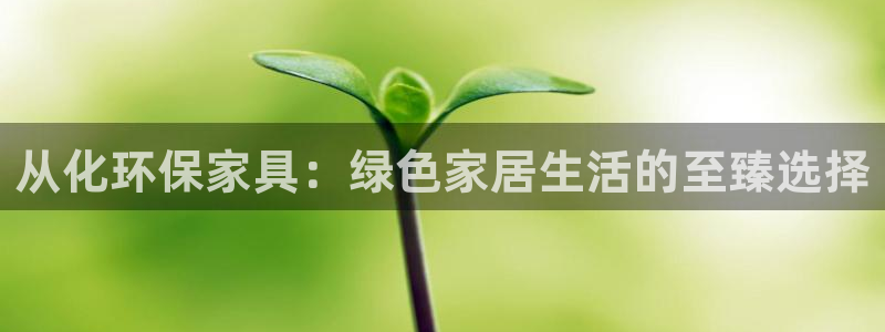 杏耀总代