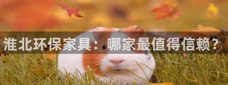 杏耀登陆测速