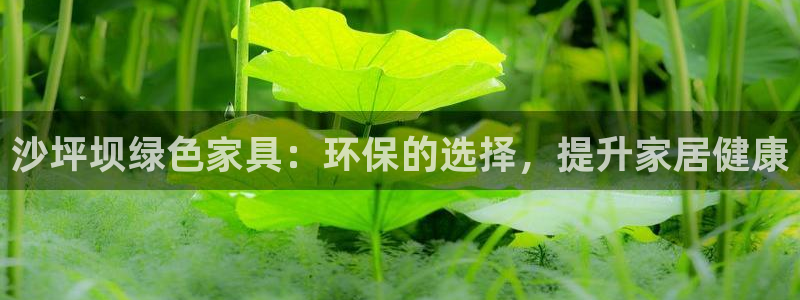 杏耀平台分红