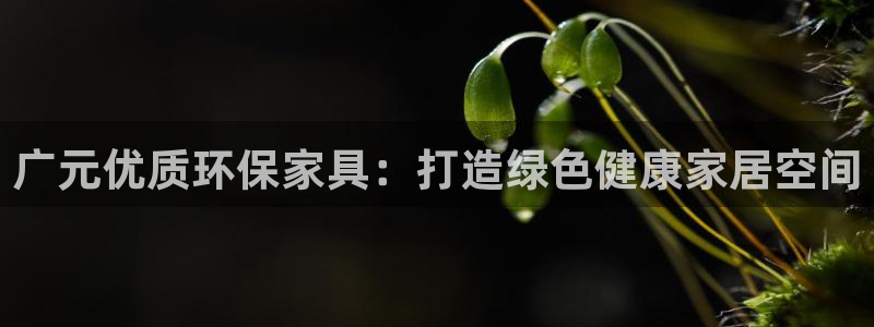 杏耀平台待遇