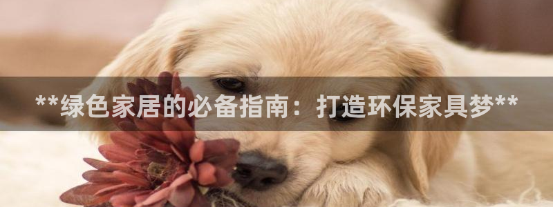 杏耀平台代理怎么赚钱的