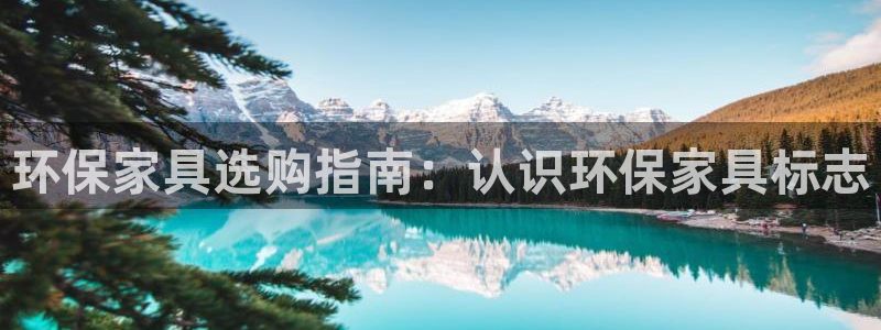 杏耀平台怎么样