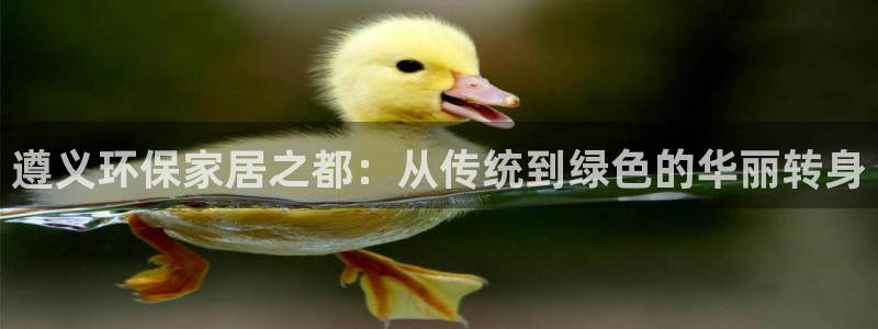 杏耀平台登录方式：遵义环保家居之都：从传统到绿色的华丽转身