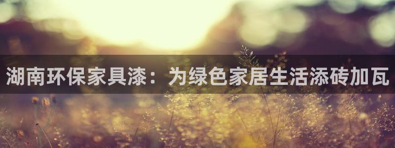 杏耀app怎样申请退款：湖南环保家具漆：为绿色家居生活添砖加