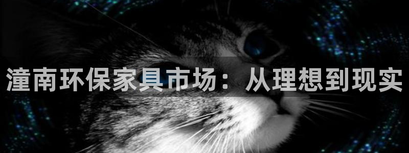 杏耀注册网址：潼南环保家具市场：从理想到现实
