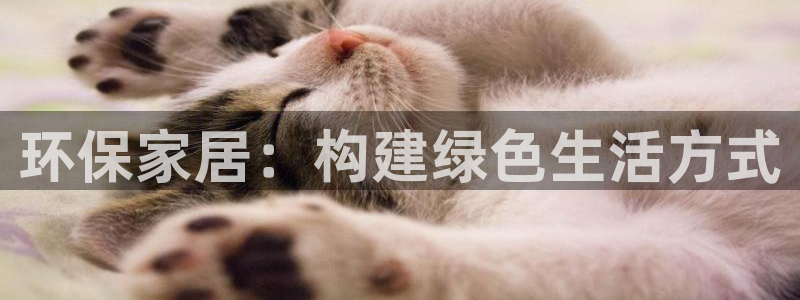 杏耀平台官网登录：环保家居：构建绿色生活方式