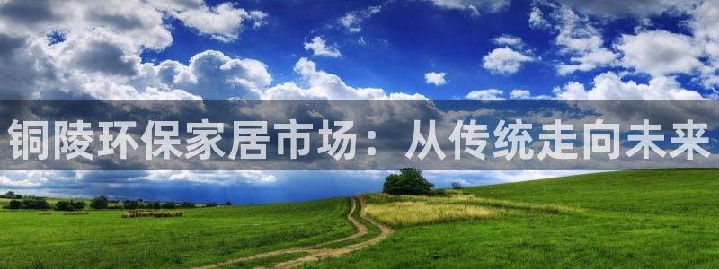 杏耀平台手机：铜陵环保家居市场：从传统走向未来