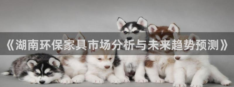 杏耀平台登录方式：《湖南环保家具市场分析与未来趋势预测》