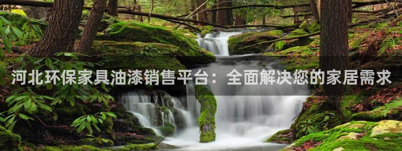 杏耀测速娱乐：河北环保家具油漆销售平台：全面解决您的家居需求