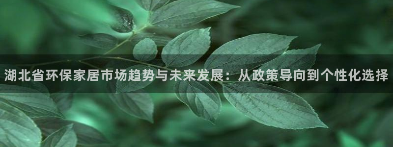 杏耀注册app：湖北省环保家居市场趋势与未来发展：从政策导向