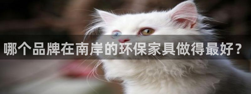 杏耀官网客服：哪个品牌在南岸的环保家具做得最好？
