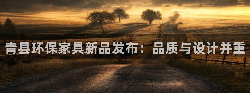 杏耀注册中心：青县环保家具新品发布：品质与设计并重
