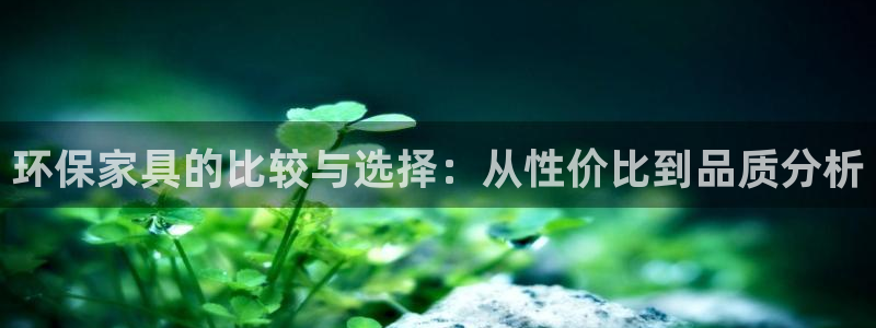 杏耀测速网址电脑版：环保家具的比较与选择：从性价比到品质分析