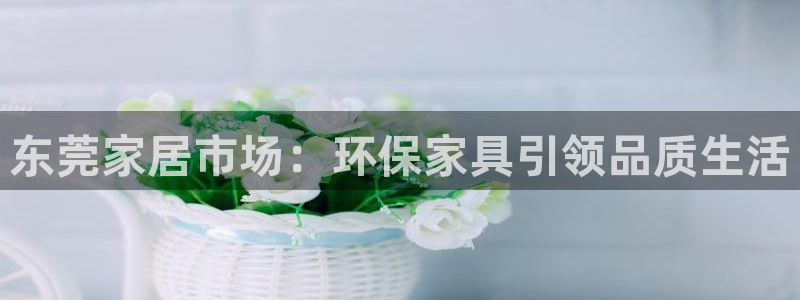 杏耀官网主管：东莞家居市场：环保家具引领品质生活