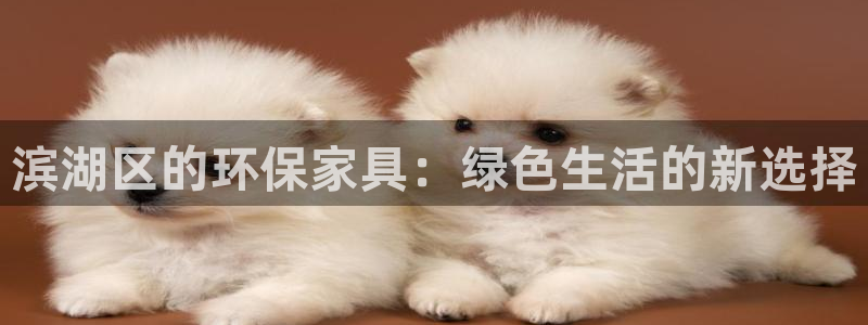 杏耀平台登录网址：滨湖区的环保家具：绿色生活的新选择