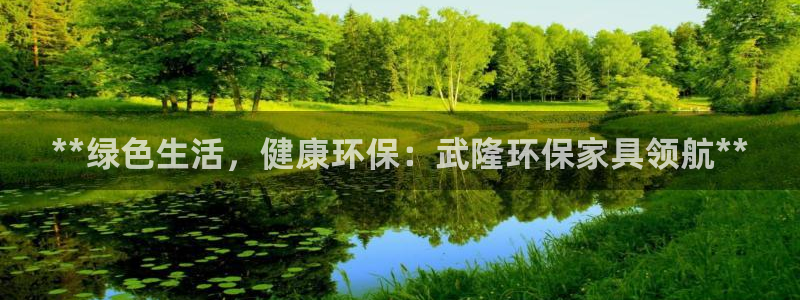 杏耀平台到底能玩吗：**绿色生活，健康环保：武隆环保家具领航