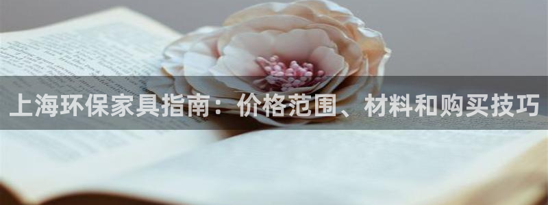 杏耀平台官方网站下载：上海环保家具指南：价格范围、材料和购买