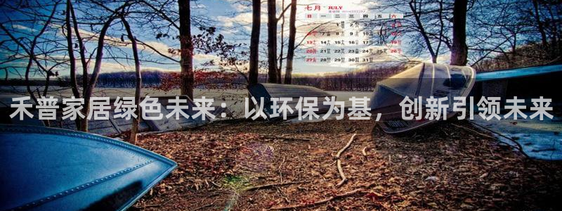 杏耀平台登录网址：禾普家居绿色未来：以环保为基，创新引领未来