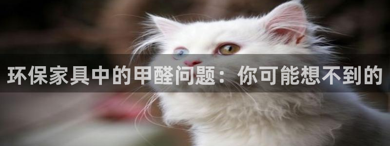 杏耀平台招商的流程