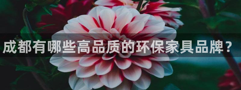 杏耀平台登陆测速：成都有哪些高品质的环保家具品牌？