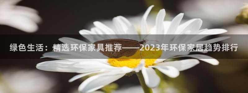 杏耀怎么注册：绿色生活：精选环保家具推荐——2023年环保家