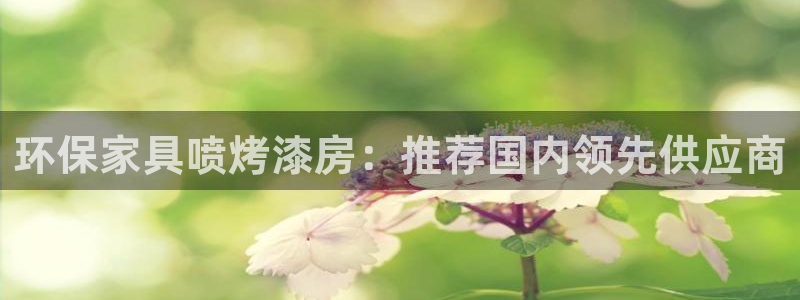 杏耀平台线路测速