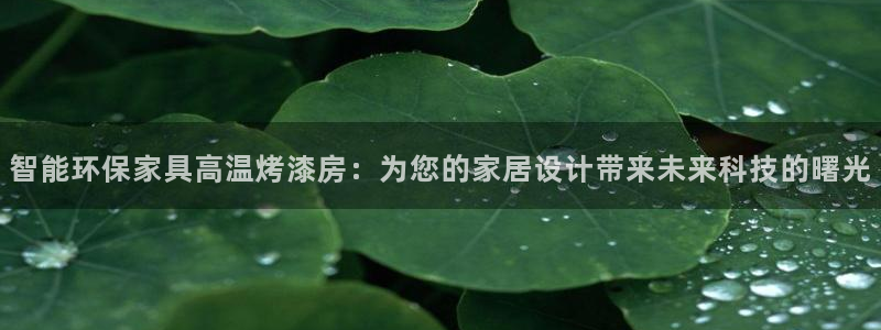 杏耀平台代理注册多少钱一年：智能环保家具高温烤漆房：为您的家